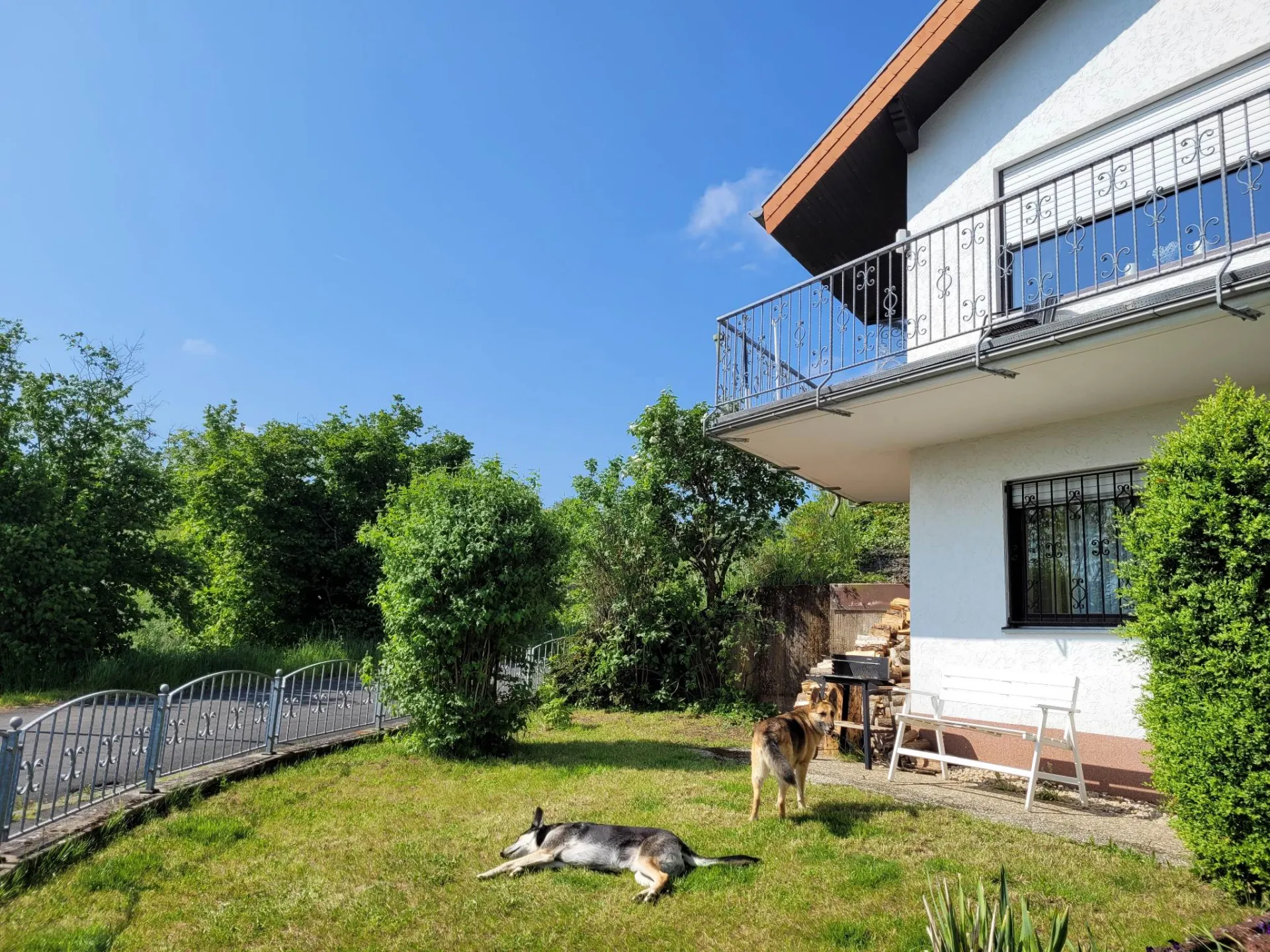 Ferienhaus Schwalbennest in Schalkenmehren am Maar