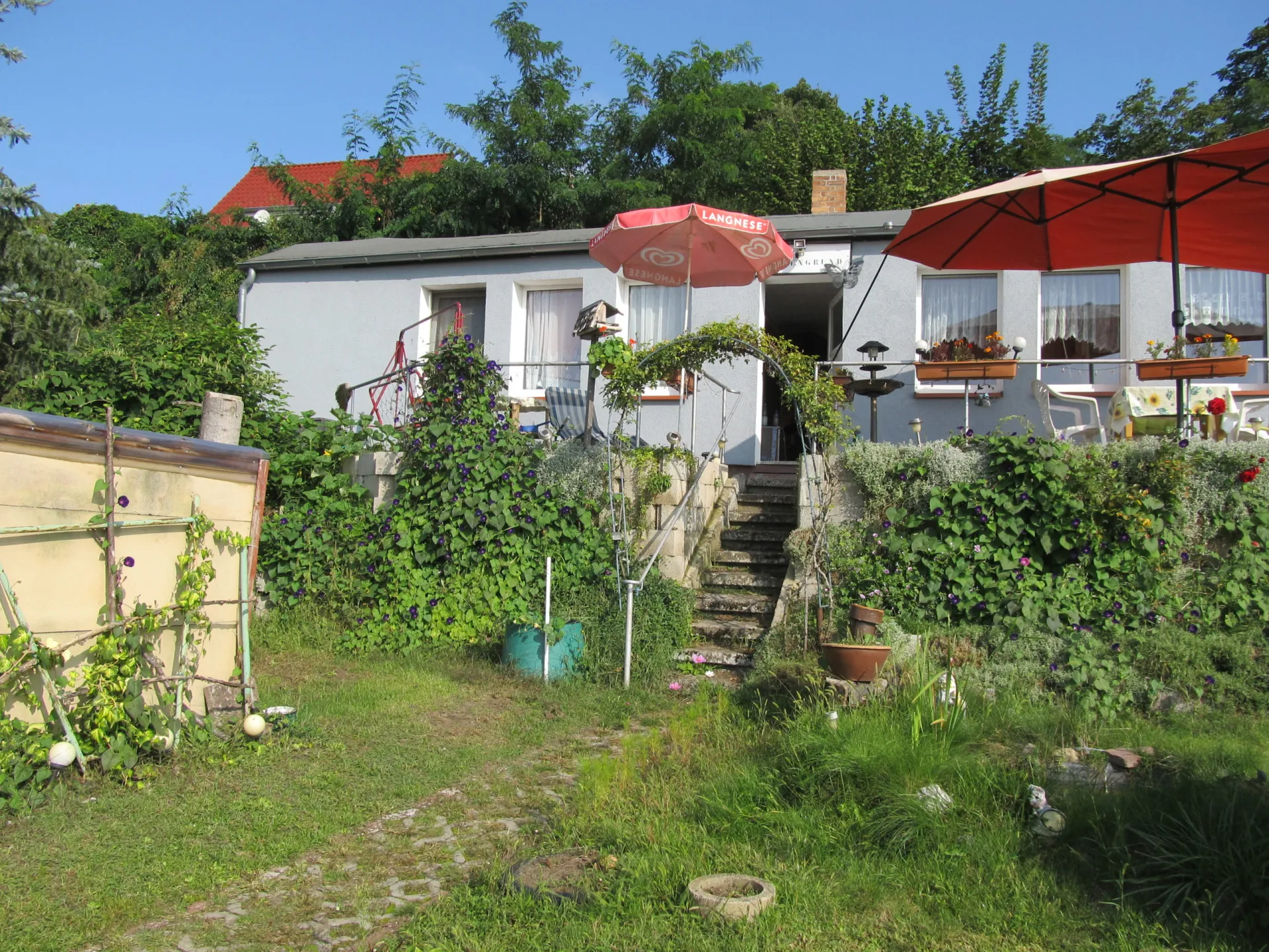 Ferienhaus im Oderbruch