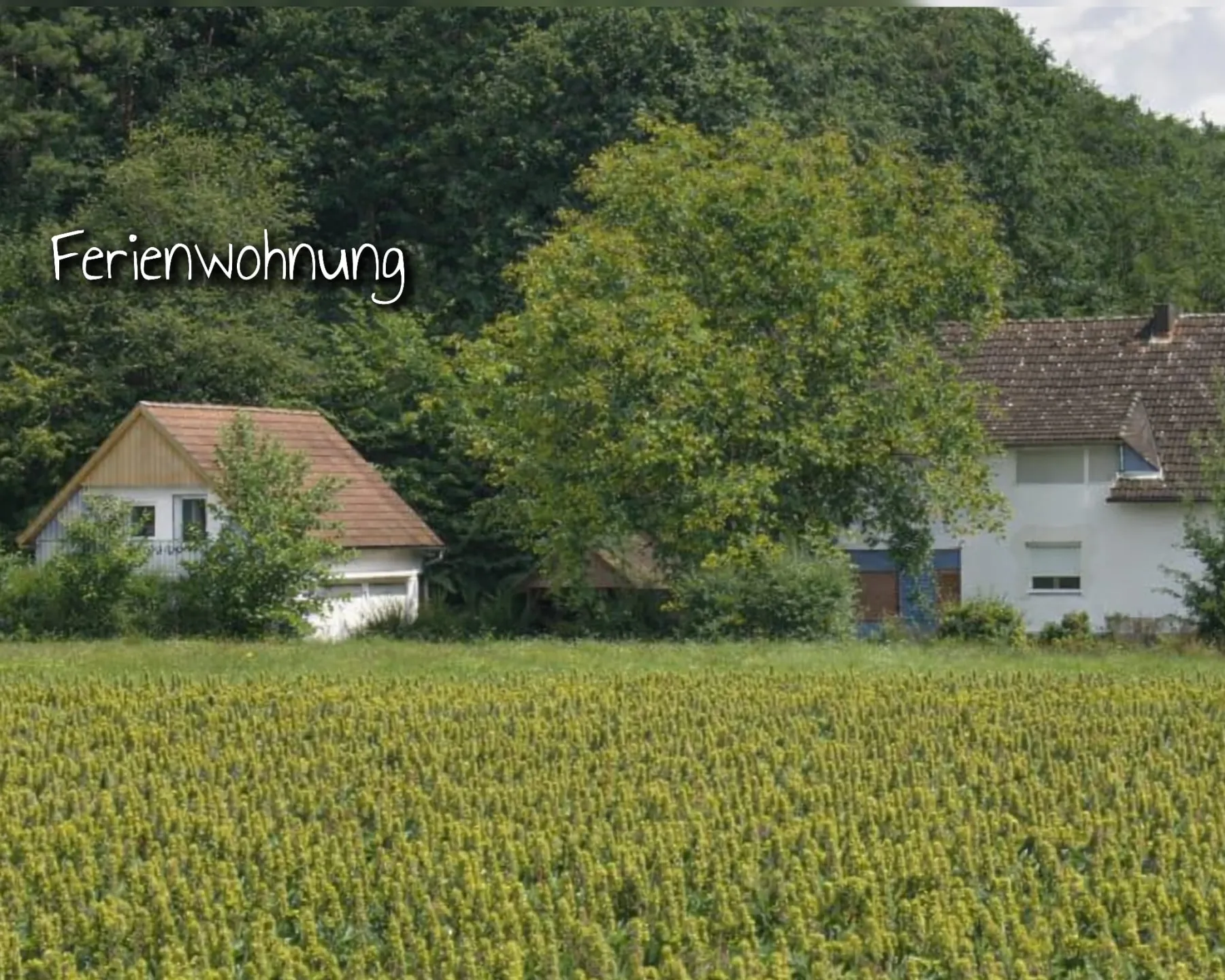 ❤️ Unser Weixeltraum in der Süd Steiermark– ein Ort, an dem Zeit wieder weich wird ❤️ 🐕‍🦺 HUNDE WILLKOMMEN 🐾