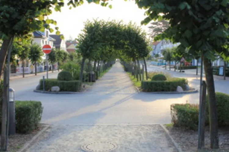 Ferienwohnung Rügenfelsen Baabe