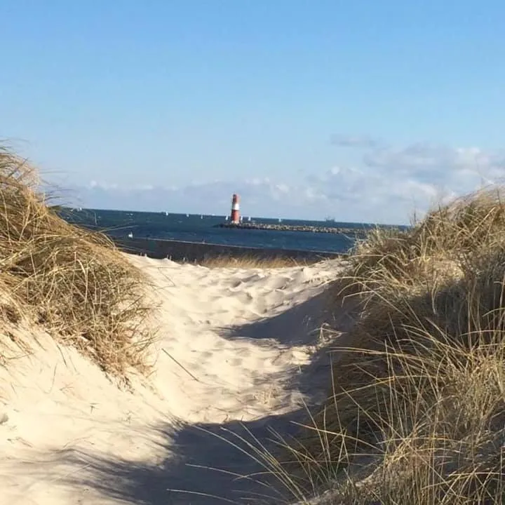 Ostseehase Graal-Müritz